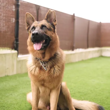 Apartamento Piso Moderno En La Costa Cántabra *