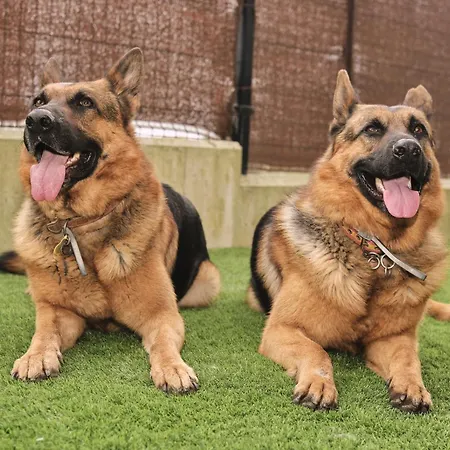 Piso Moderno En La Costa Cántabra Apartamento Soto de la Marina